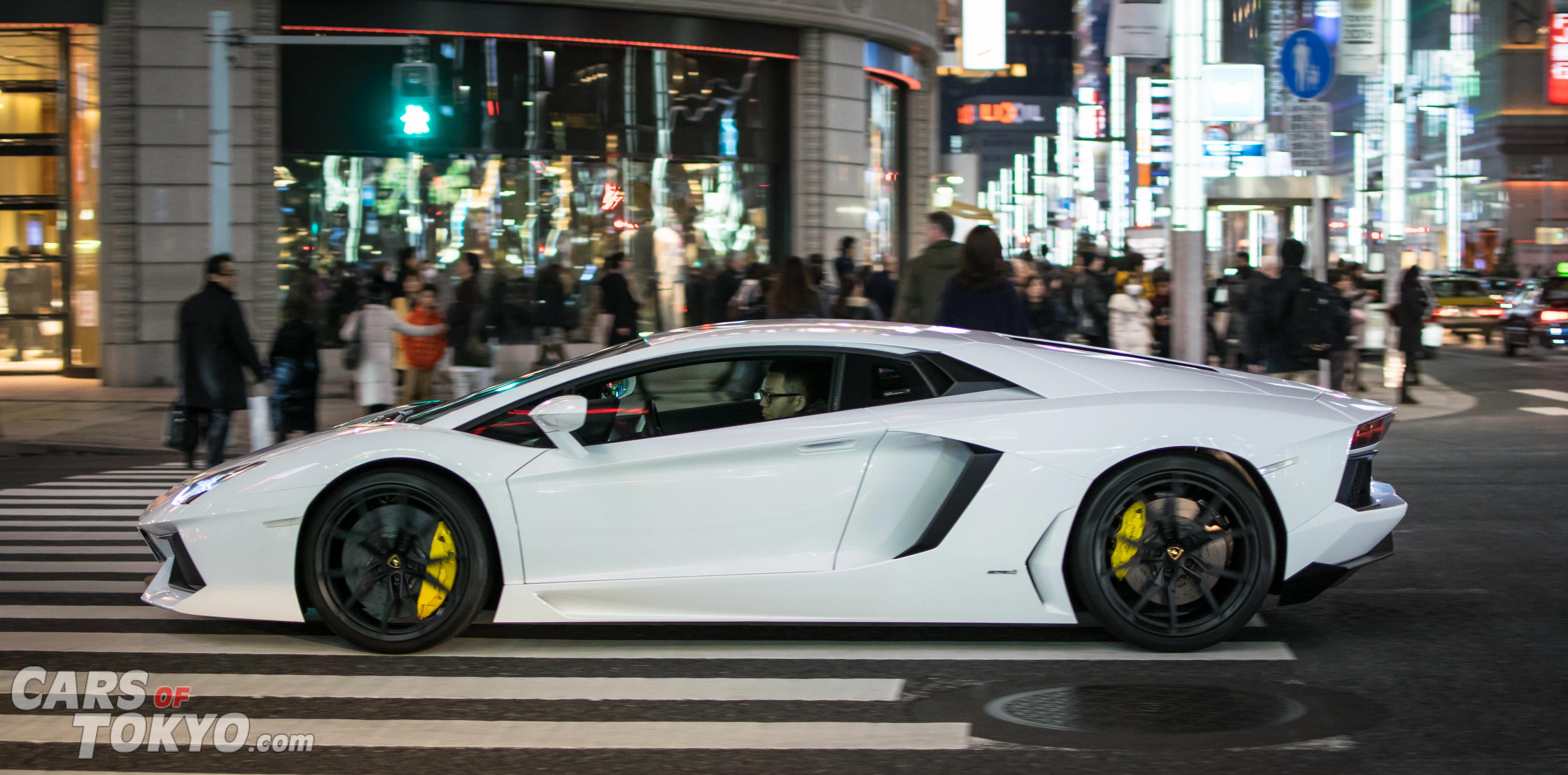 Night Rider Lamborghini Aventador