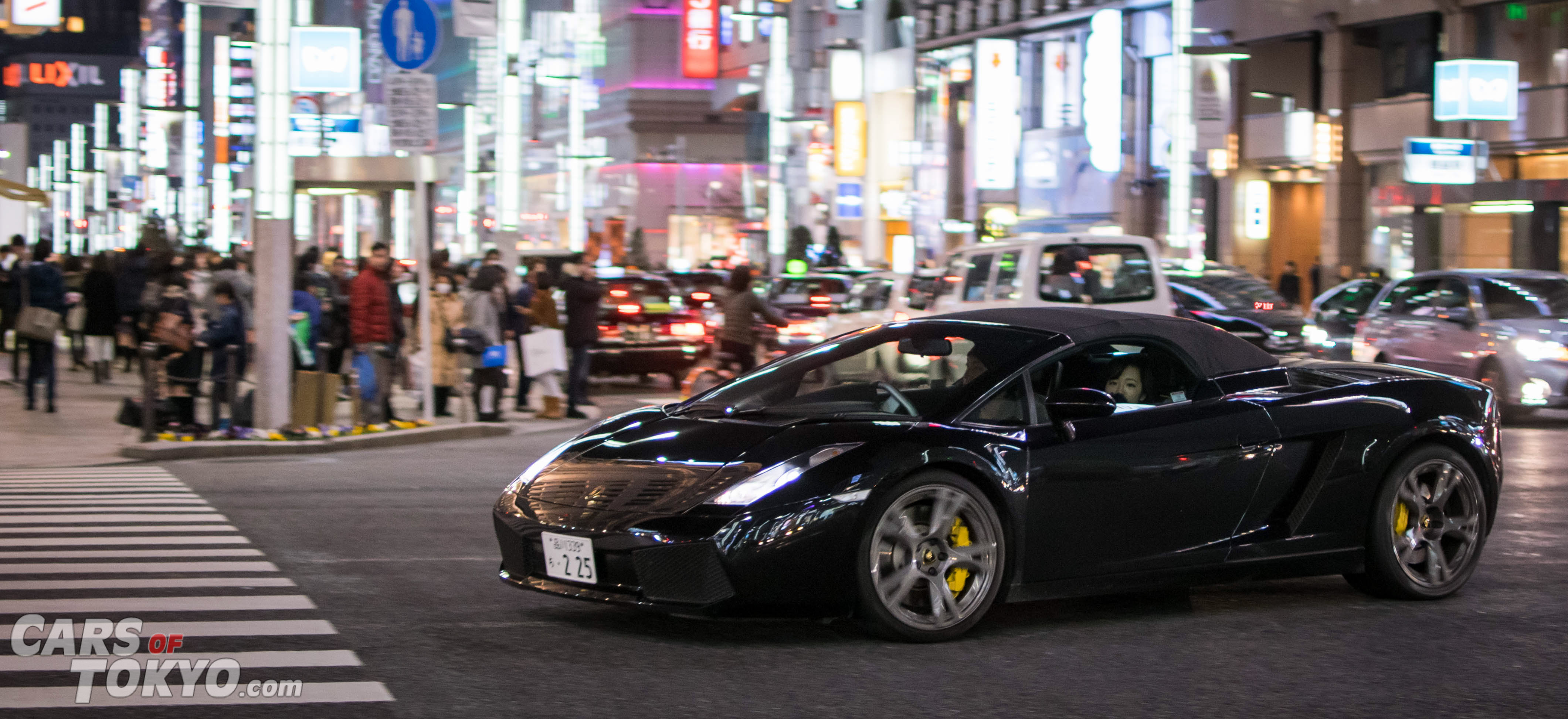 Night Rider Lamborghini Gallardo